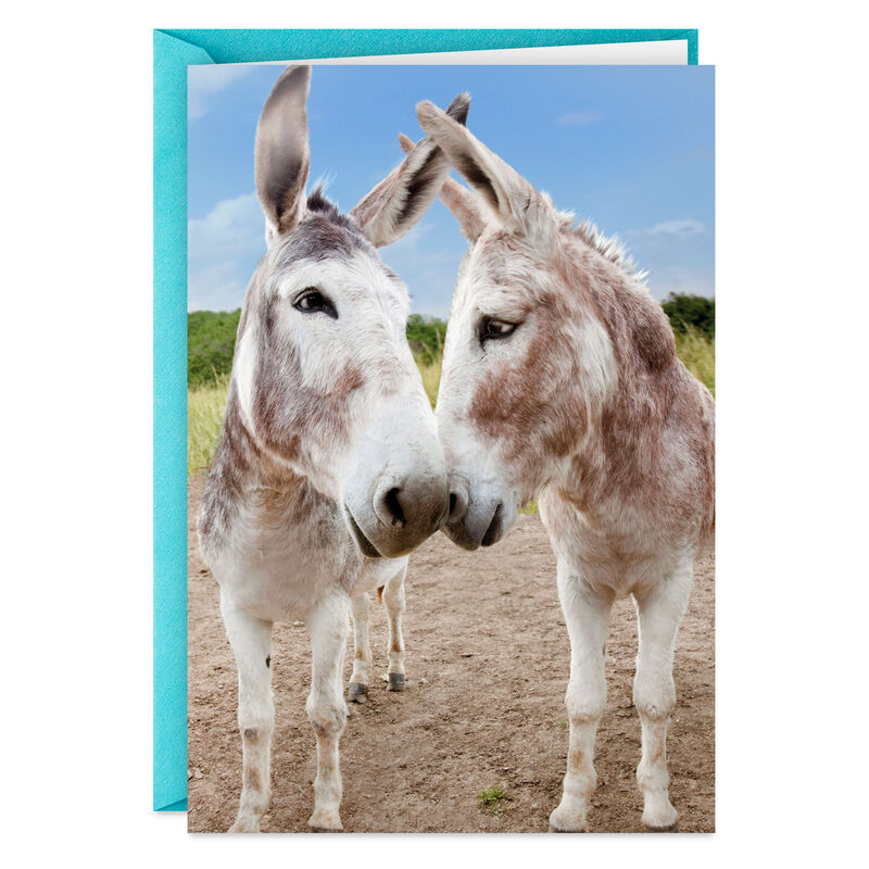 Adult-Donkey-Funny-Anniversary-Card_399ZZS6505_01