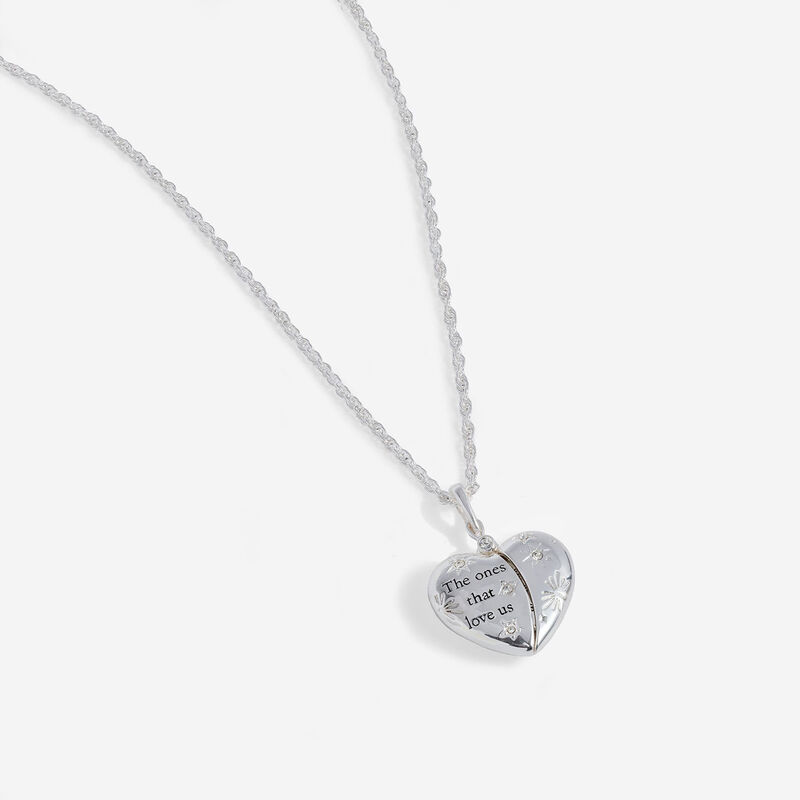 Alex-And-Ani-Harry-Potter-The-Ones-That-Love-Us-Locket-Necklace_886787224910_01