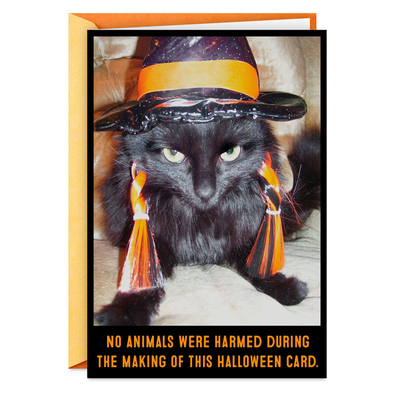 Angry-Black-Cat-in-Witchs-Hat-Funny-Halloween-Card_369ZH1035_01
