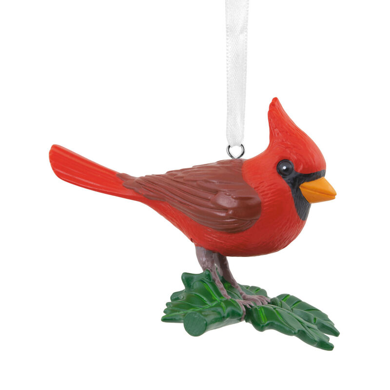 Cardinal-Bird-Christmas-Ornament_1HGO3702_01