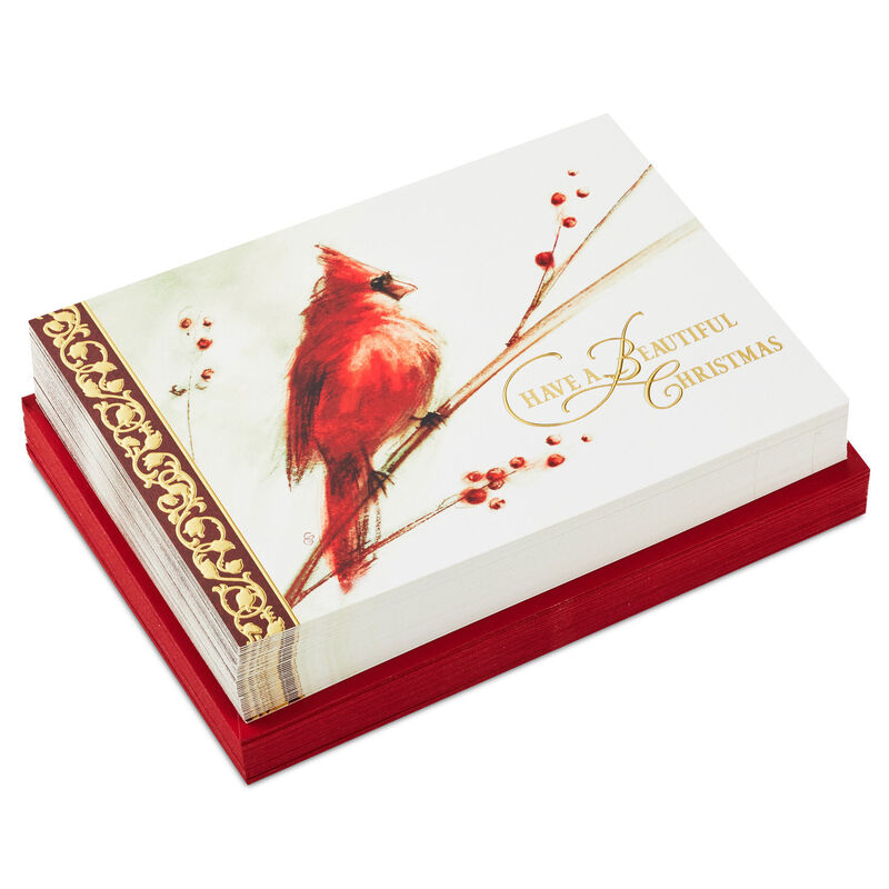 Cardinal-Boxed-Christmas-Cards-Bulk-Pack_5XPX2693_01