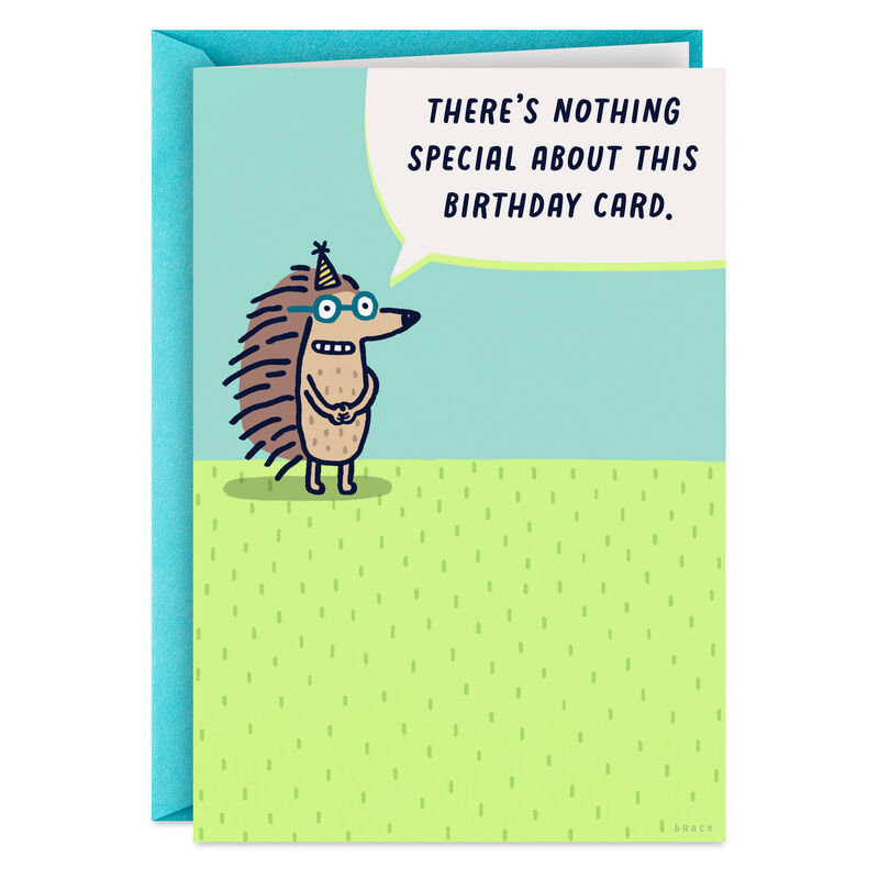 Cartoon-Hedgehog-Funny-Birthday-Card_399ZZB4818_01