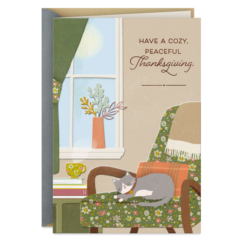 Cat-Curled-Up-on-Chair-by-Window-Thanksgiving-Card_299TH5165_01