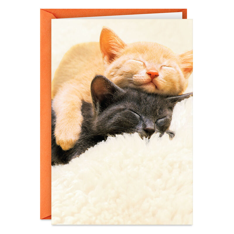 Cat-Nine-Lives-Together-Love-Card_399ZZF6430_01