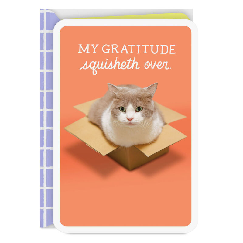 Cat-Sitting-in-a-Box-Funny-Thank-You-Card_299LJB1464_01