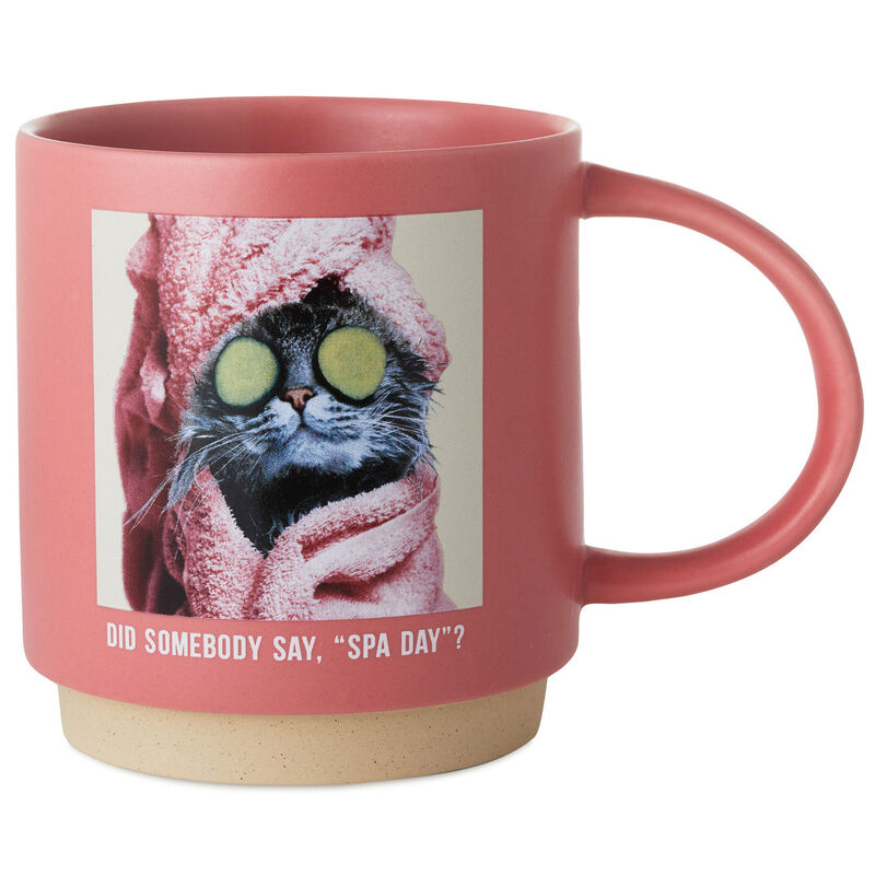 Cat-Spa-Day-Funny-Mug_1MUG3610_01
