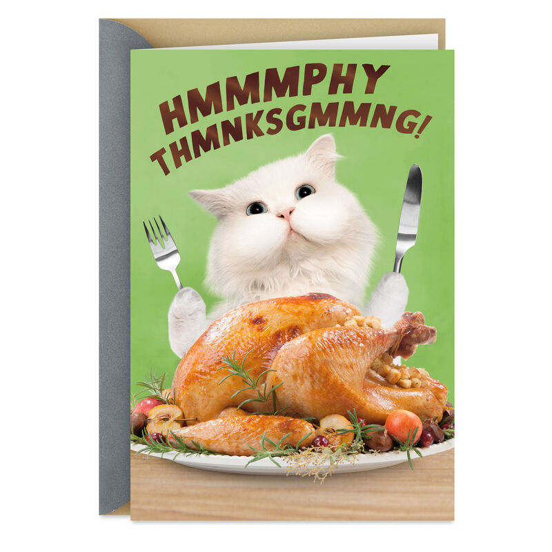 Cat-With-Roasted-Turkey-Funny-Thanksgiving-Card_299TH5162_01