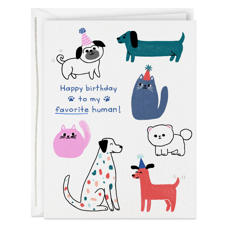 Cats-and-Dogs-Birthday-Card_399MRJ1095_01