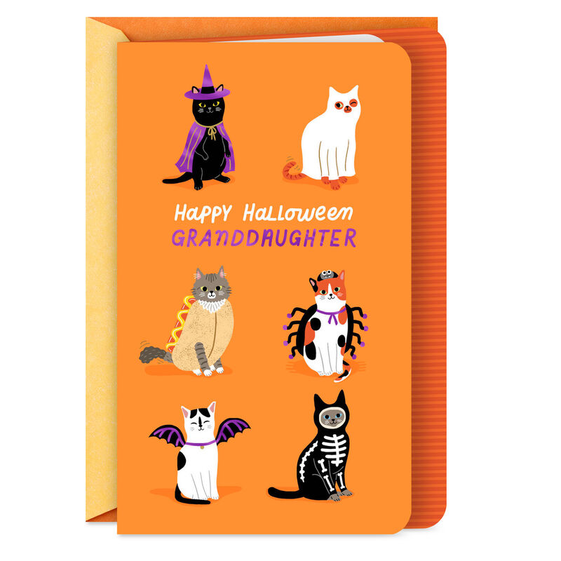 Cats-in-Costumes-Halloween-Card-for-Granddaughter_399HKD6132_01