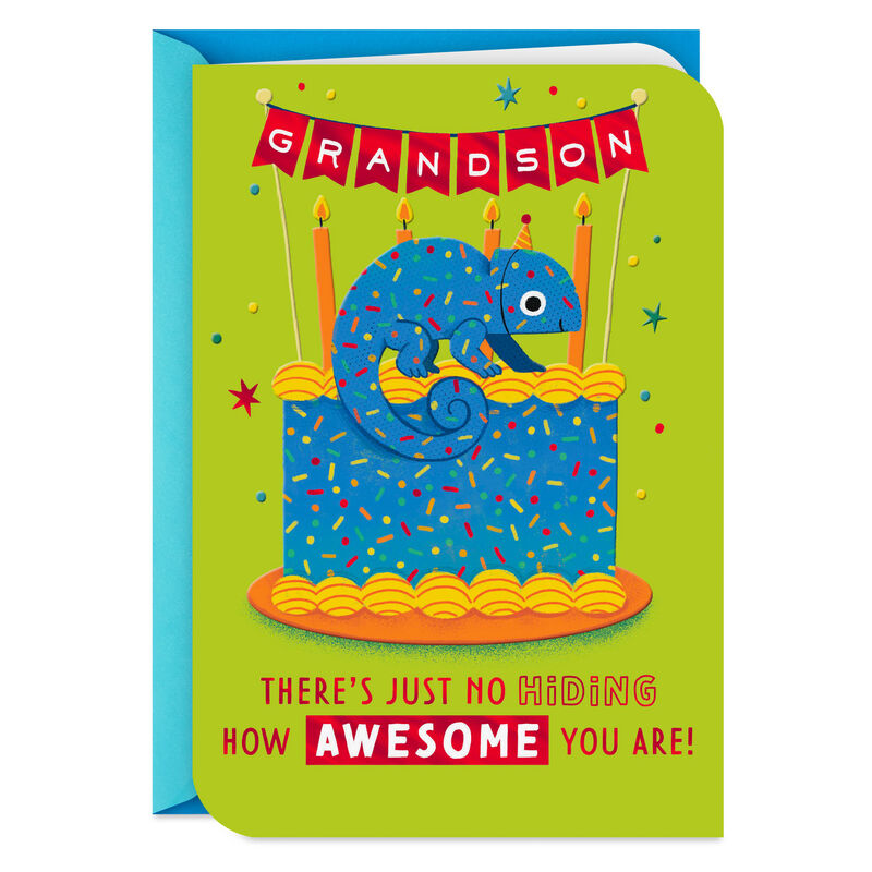 Chameleon-Critter-Cake-Birthday-Card-for-Grandson_399HKB9398_01