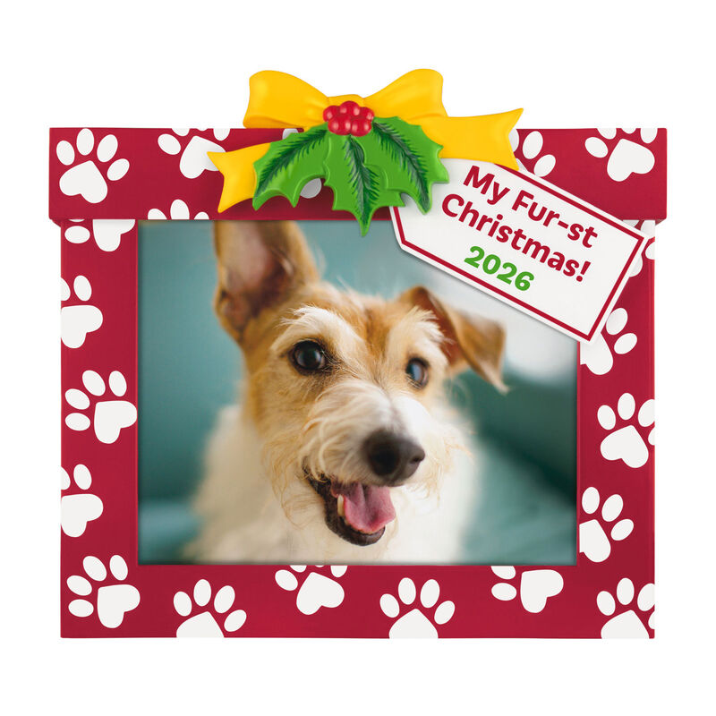 Christmas-Present-Pet-Frame-Keepsake-Ornament_5QGO2703_01