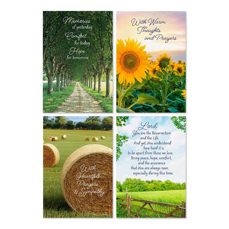 Comfort-DaySpring-Sympathy-Cards-Assortment_3DSI4574_01