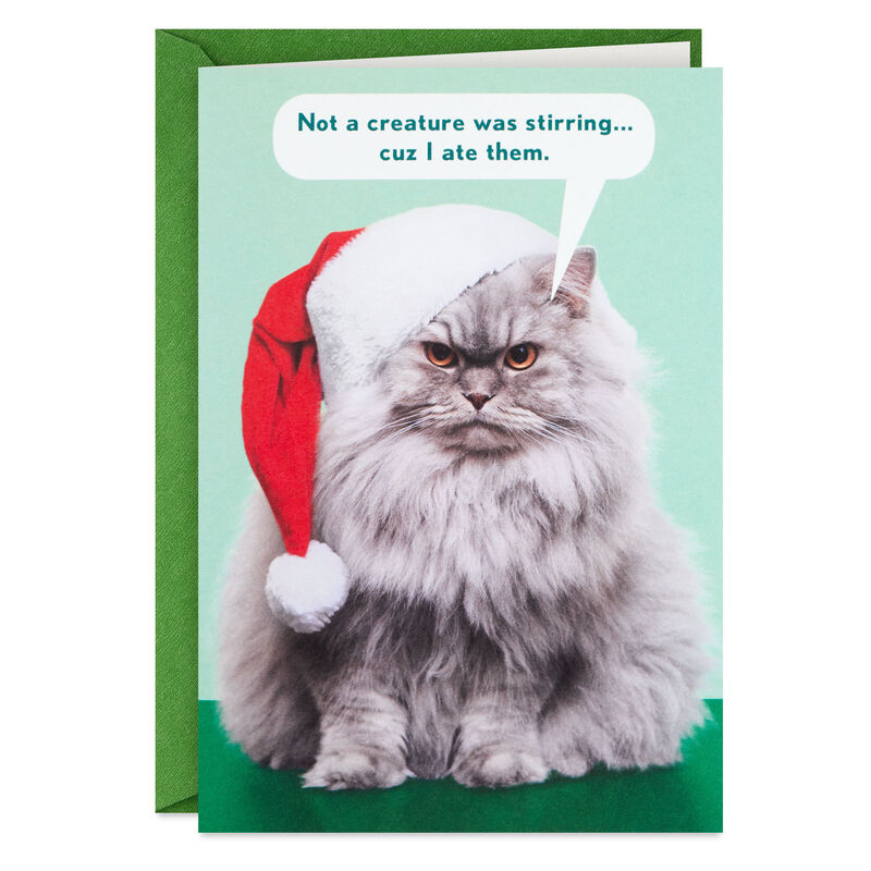 Cranky-Cat-in-Santa-Hat-Funny-Christmas-Card_399ZX5065_01