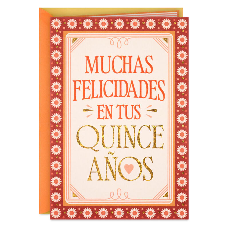 Daisy-Border-Quince-Aos-Birthday-Card-in-Spanish_459BIH1810_01