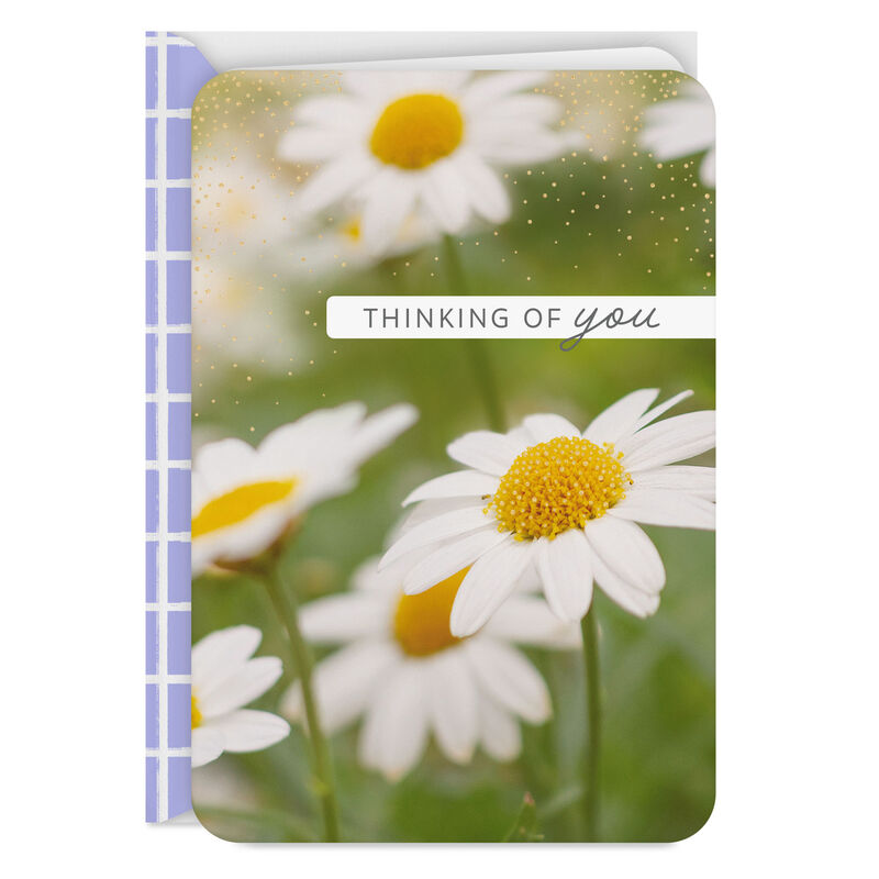 Daisy-Flowers-Thinking-of-You-Card_299LJB1344_01