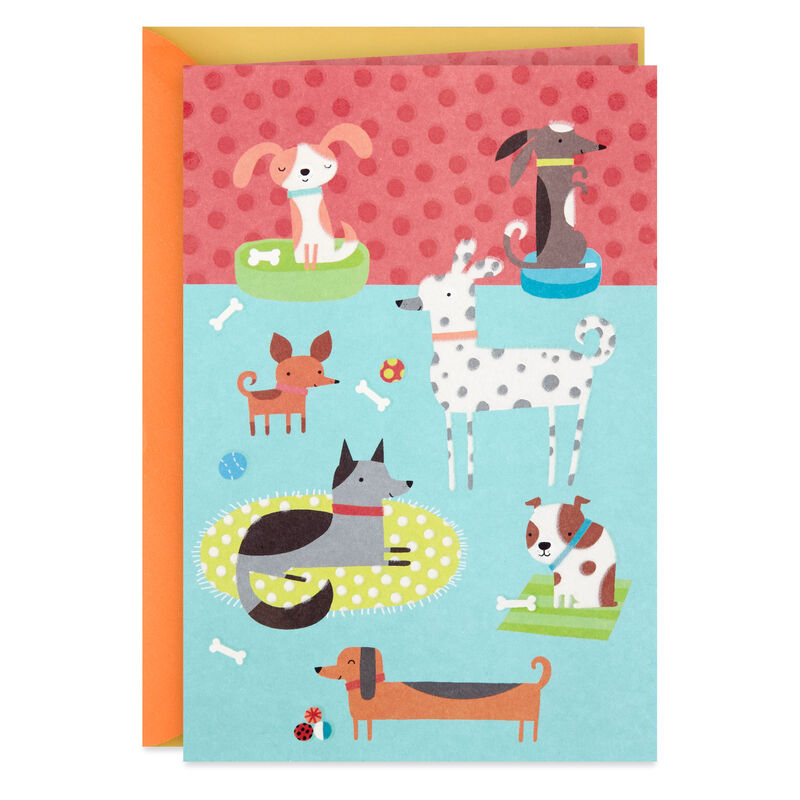 Dog-Party-Blank-Card_399IMP1758_01