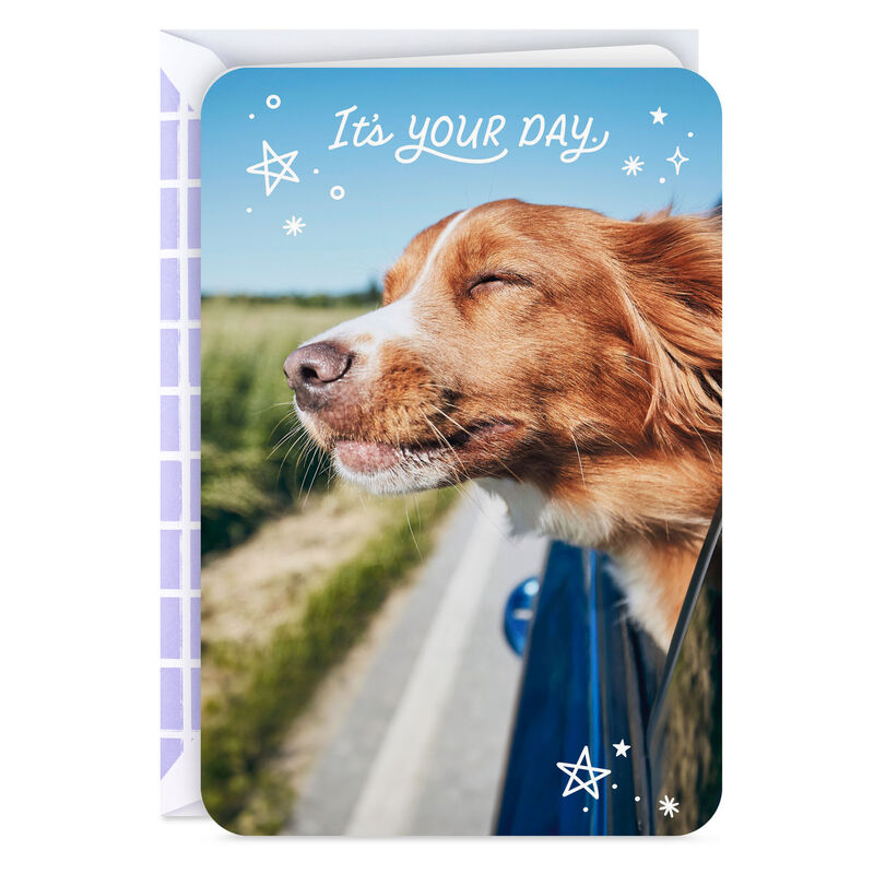 Dog-With-Head-Out-Car-Window-Its-Your-Day-Card_299LJB2014_01