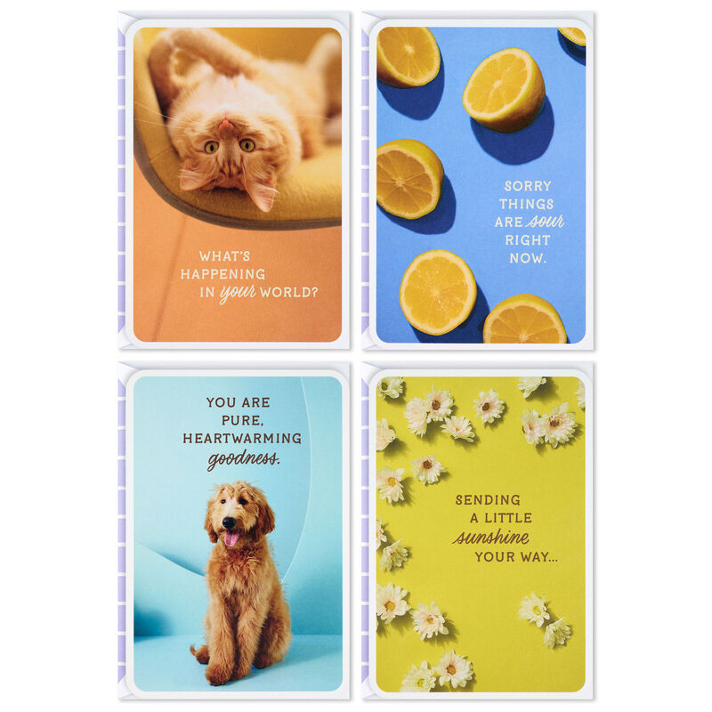 Dog-and-Cat-Just-Because-Cards-Pack-With-Stickers_3JBC1001_01