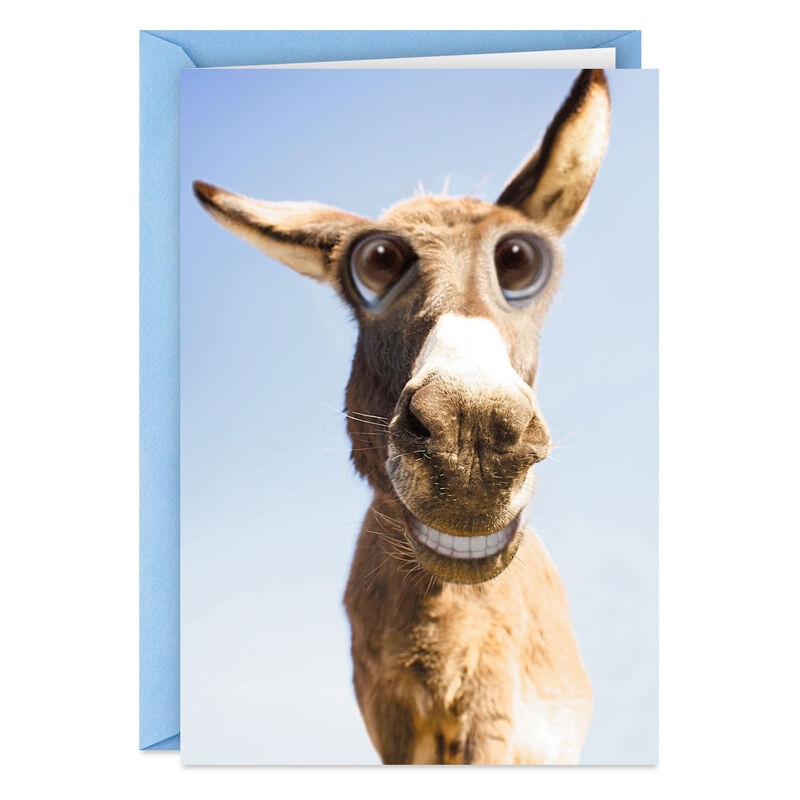 Donkey-Make-Your-Ass-Happy-Funny-Birthday-Card_399ZZB6294_01