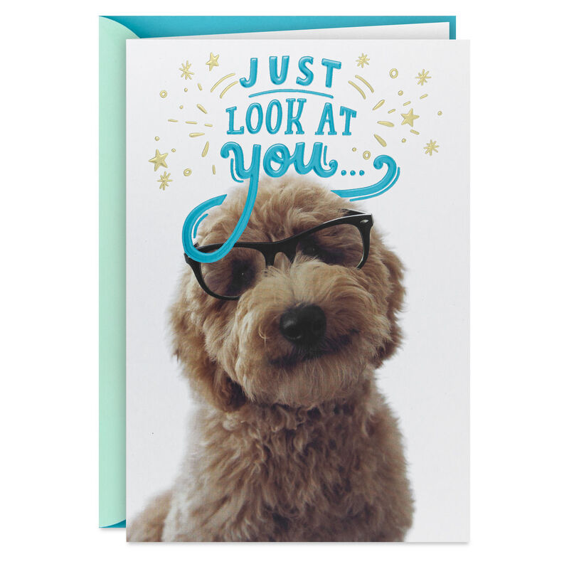 Doodle-Dog-in-Glasses-Congratulations-Card_559M2095_01