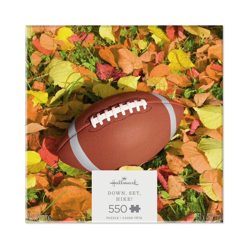 Football-and-Fall-Leaves-550Piece-Puzzle_1PUZ1099_01
