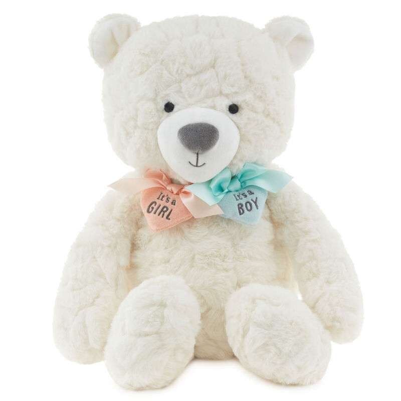 Gender-Reveal-Teddy-Bear-Plush-With-Ribbons_1BBY4900_01