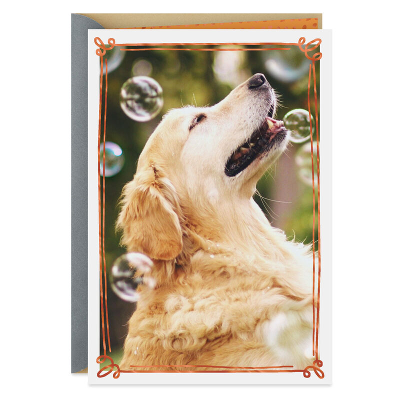 Golden-Retriever-Dog-With-Bubbles-Encouragement-Card_299C3235_01
