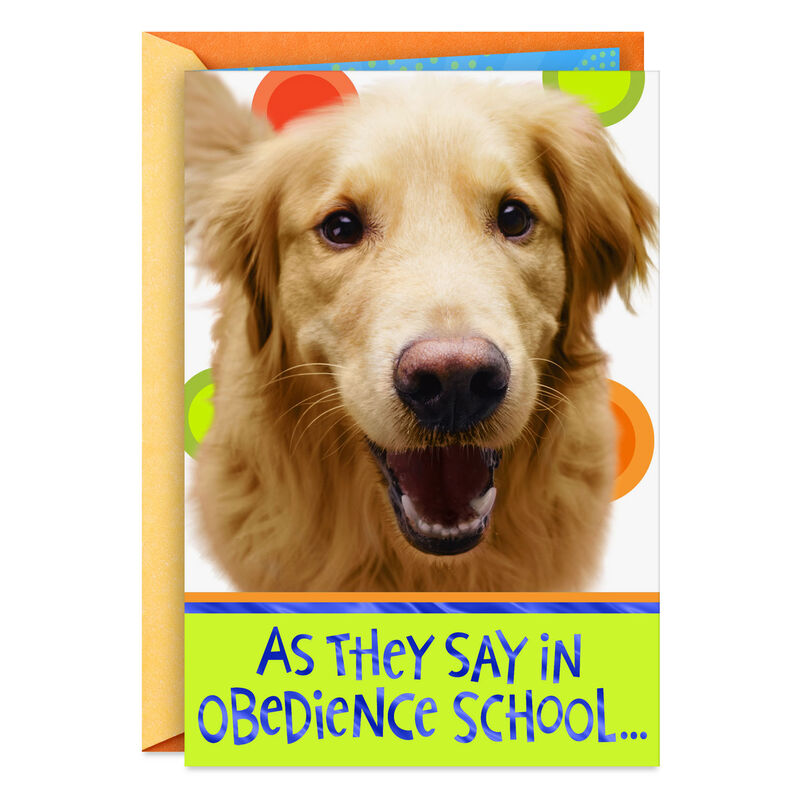 Golden-Retriever-Funny-Get-Well-Card_399C9408_01