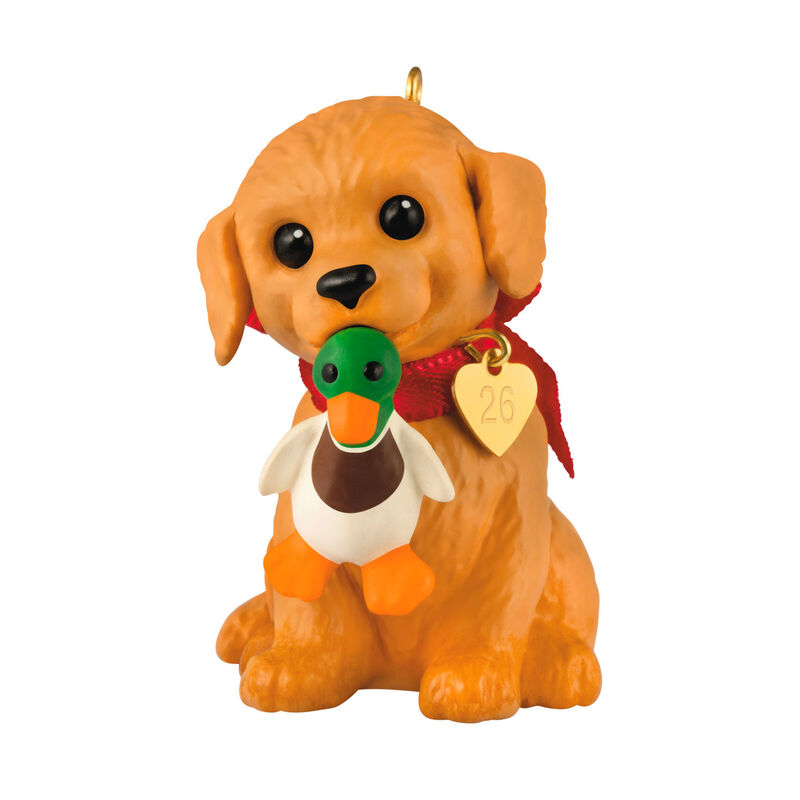 Golden-Retriever-With-Duck-Keepsake-Ornament_5QXR8313_01