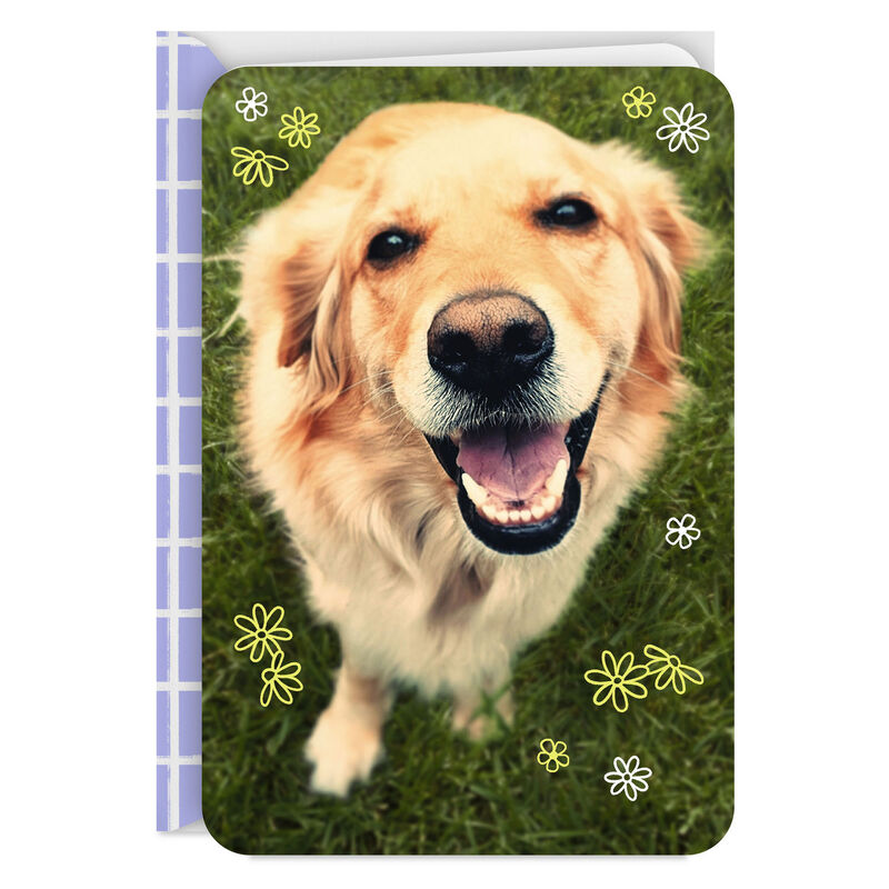 Golden-Retriever-and-Flower-Doodles-Blank-Card_299RJB3401_01