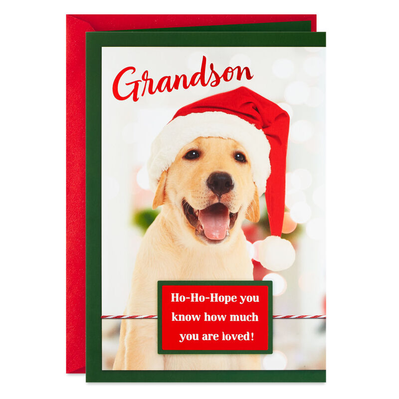Golden-Retriever-in-Santa-Hat-Grandson-Christmas-Card_200XV4131_01