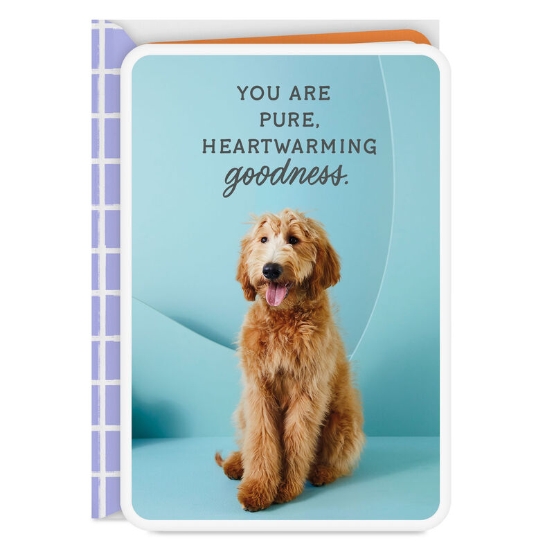 Goldendoodle-Dog-Pure-Goodness-Thank-You-Card_299LJB1388_01
