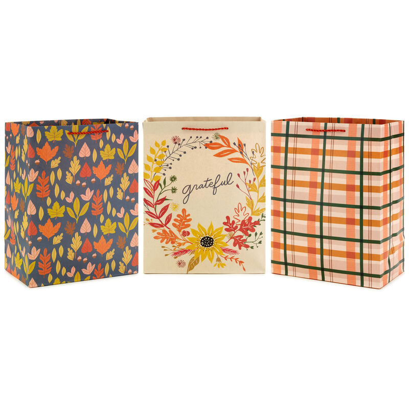 Grateful-Season-3Pack-Large-Gift-Bags-Assortment_5EGB6674_01