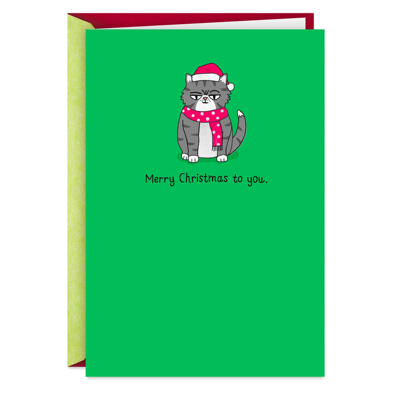 Gray-Grumpy-Cat-Funny-Christmas-Card_399ZX1743_01