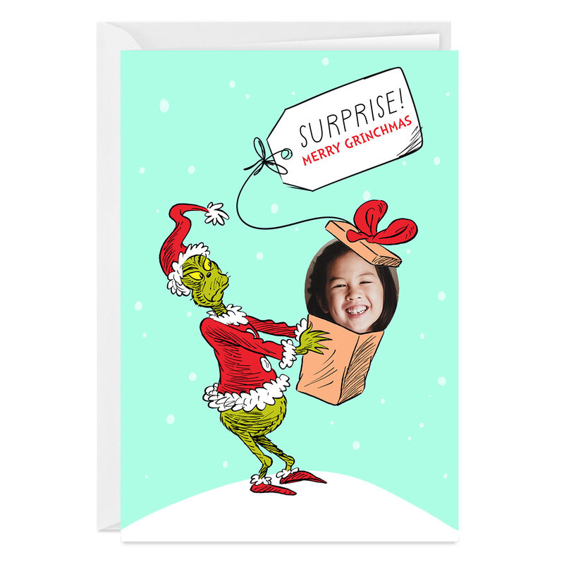 Grinch-Photo-in-Box-Personalized-Christmas-Card_2PGM4638_01