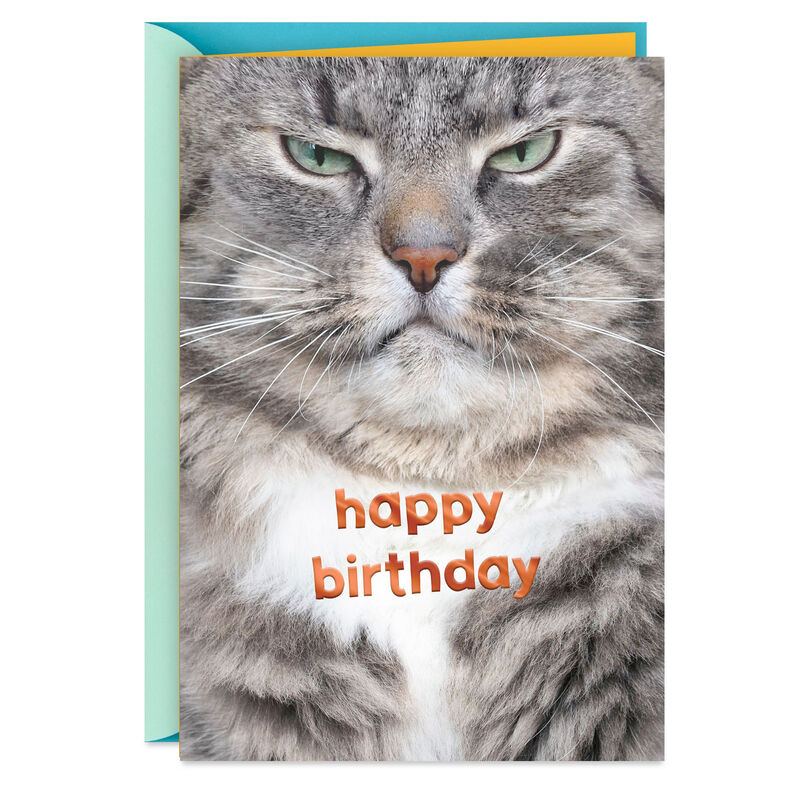 Grumpy-Cat-Funny-Birthday-Card_299HBD4574_01