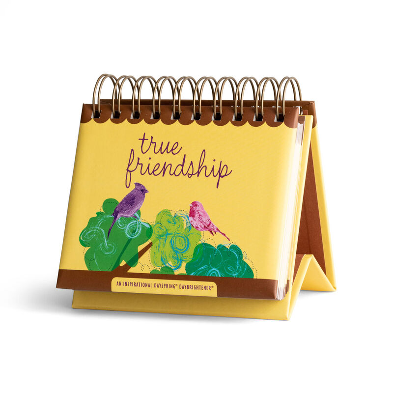 Heaven-Stuff-Friendship-365-Day-Perpetual-Calendar_3DBP1113_01