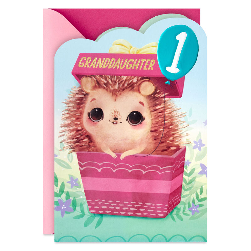 Hedgehog-1st-Birthday-Card-for-Granddaughter_459HKB6399_01