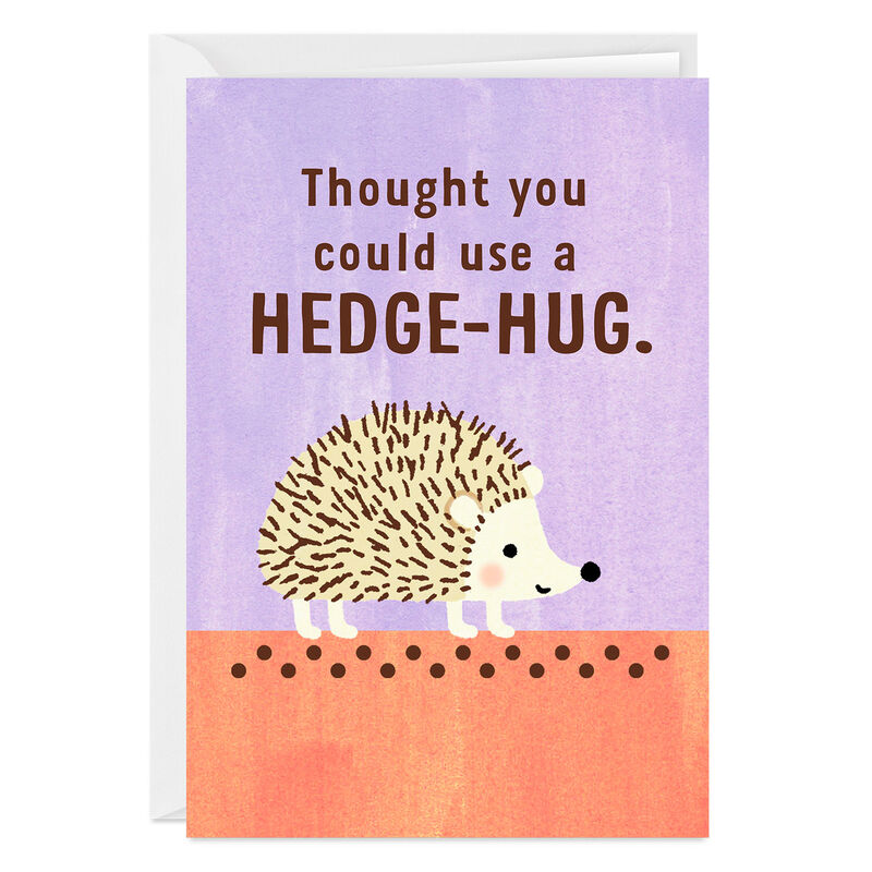 Hedgehog-Hug-Thinking-of-You-eCard_2PGM2691_01