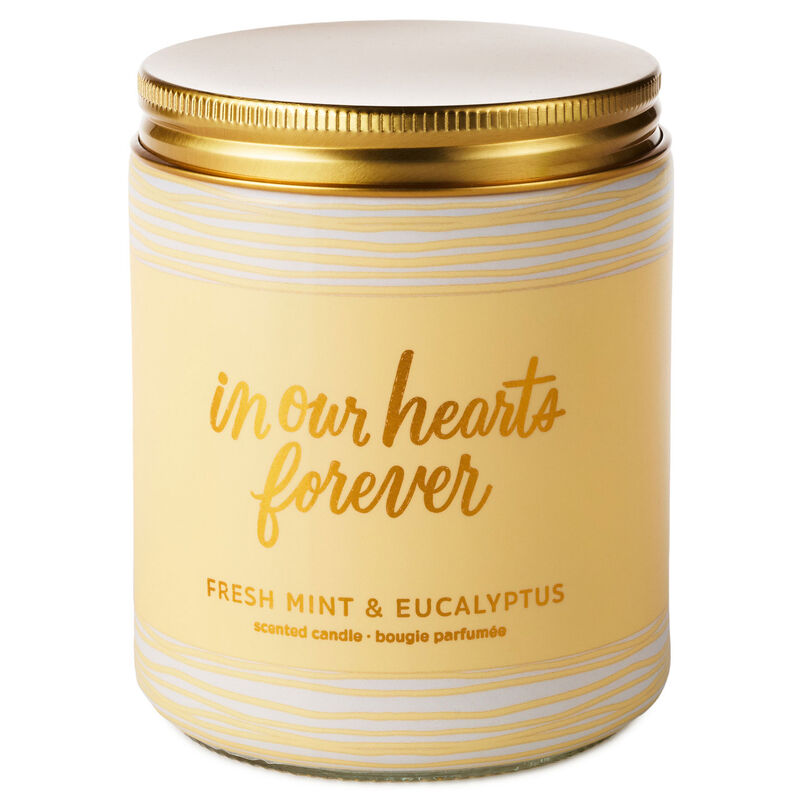 In-Our-Hearts-Forever-Mint-Eucalyptus-Jar-Candle_1FCD1022_01