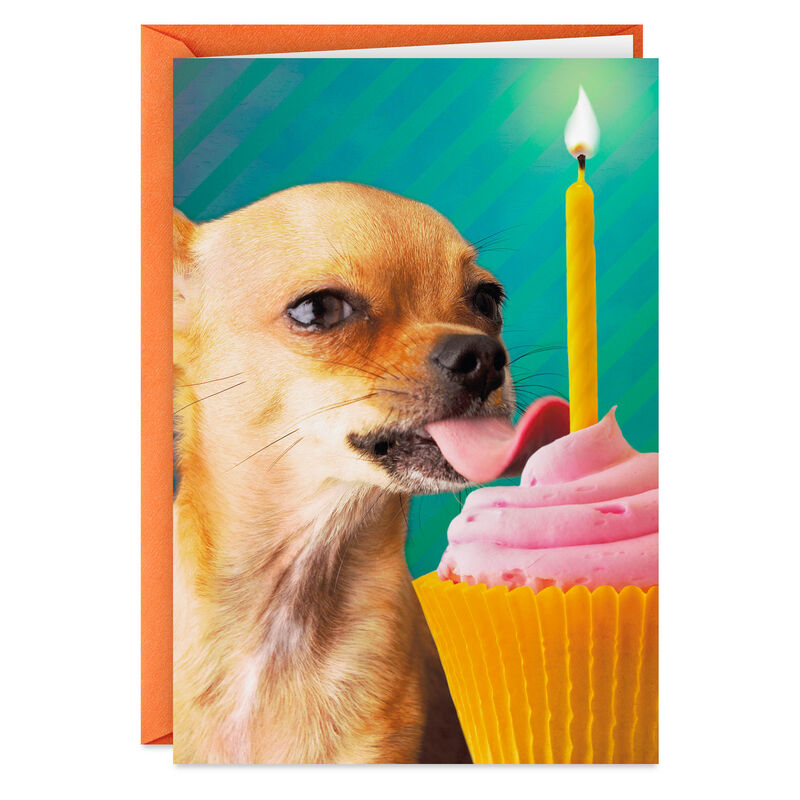 Lick-All-the-Cupcakes-Funny-Birthday-Card_399ZZB6245_01