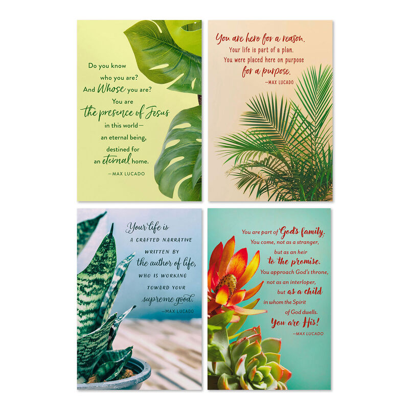Max-Lucado-Art-DaySpring-Birthday-Cards-Assortment_3DSI4579_01