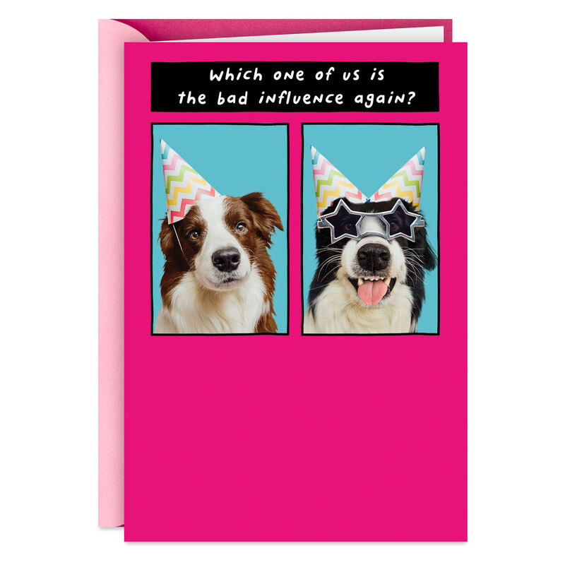 Party-Dogs-Funny-Birthday-Card-for-Sister_449ZZB5685_01