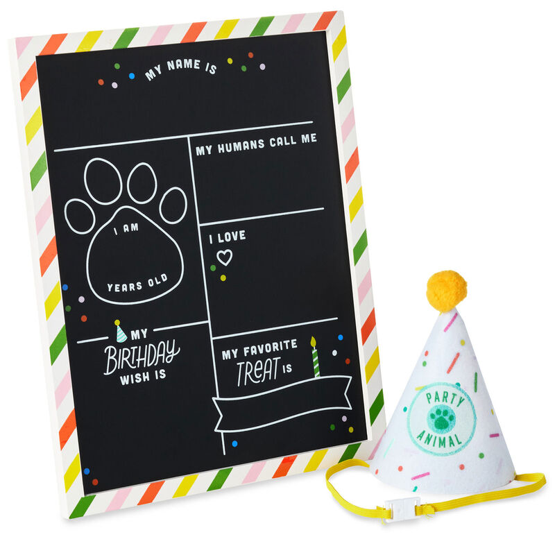 Pet-Birthday-Bundle-With-Chalkboard-and-Party-Hat_1BIR1323_01