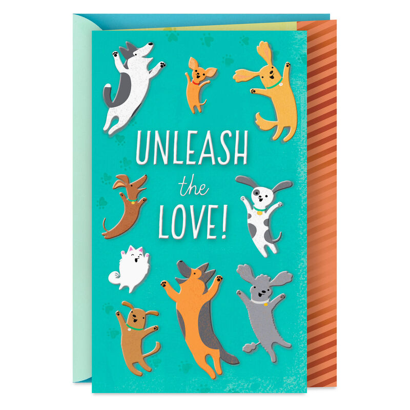 Playful-Dogs-New-Pet-Congrats-Card_359M3017_01
