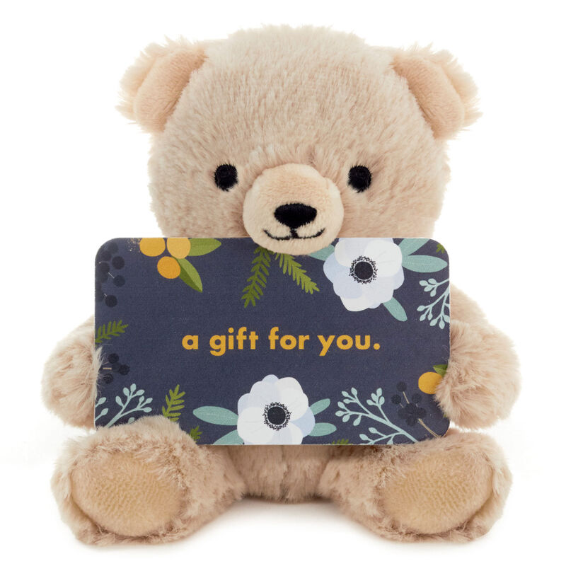 Plush-Teddy-Bear-Gift-Card-Holder-With-Wire-Arms_1KGC1005_01