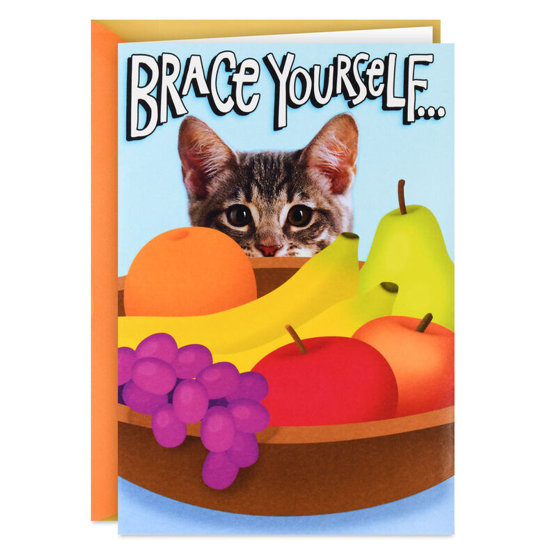 PopUp-Hugging-Cat-Funny-Encouragement-Card_499C8329_01