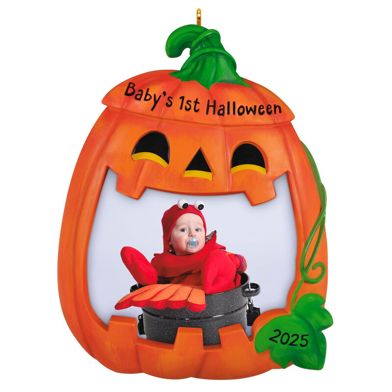 Pumpkin-Babys-1st-Personalized-Photo-Ornament_3QHE2162B1_01