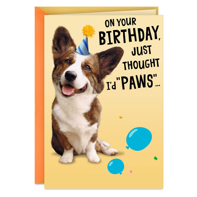Punny-Dogs-in-Party-Hats-Funny-Birthday-Card_499HBD5462_01