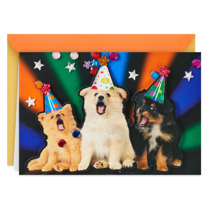 Puppies-in-Party-Hats-Funny-Musical-Birthday-Card_999ARH1663_01